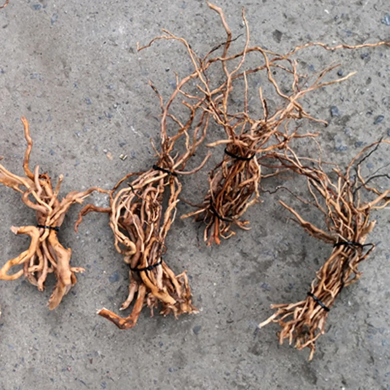 Aquarium Fish Artificial - Natural Driftwood Root Trunk Tree for