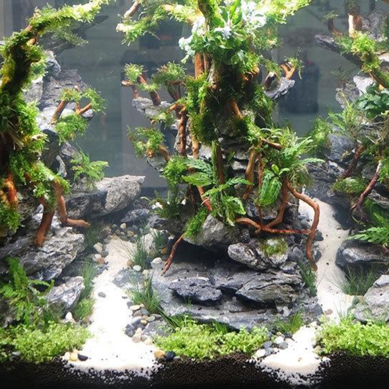 Natural Driftwood Root Trunk T - Aquarium Fish Artificial review and price