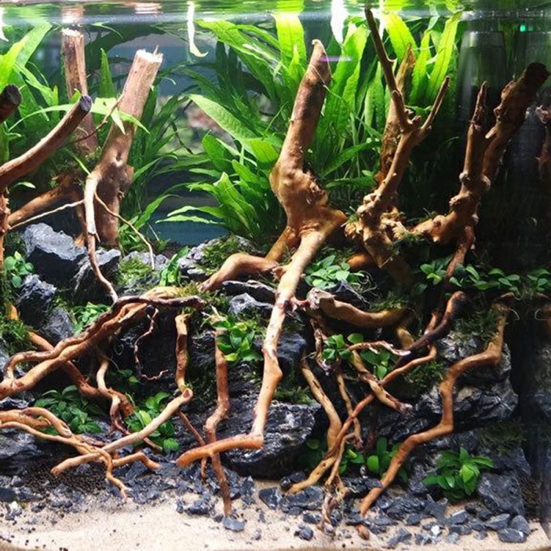 Natural Driftwood Root Trunk T - Aquarium Fish Artificial review and price
