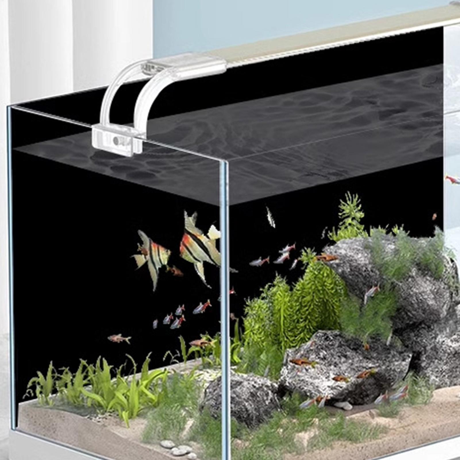 Fish Tank Background Static Cl - Aquarium Fish Live Wallpaper review and price