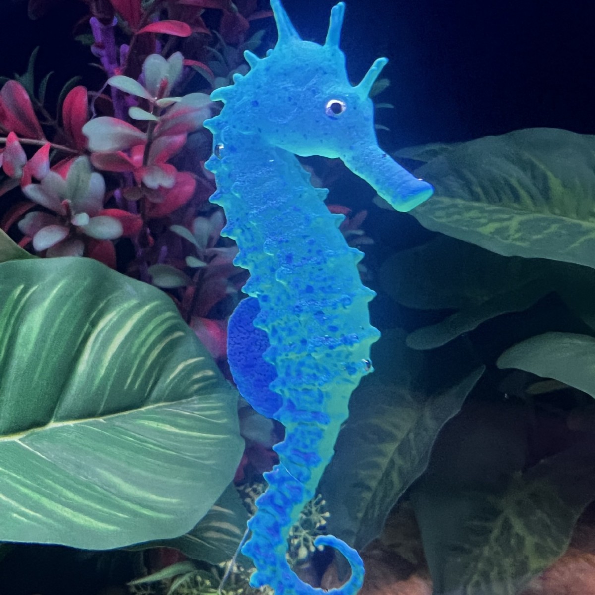 Simulated Luminous Seahorse Fi - Aquarium Fish Artificial review and price