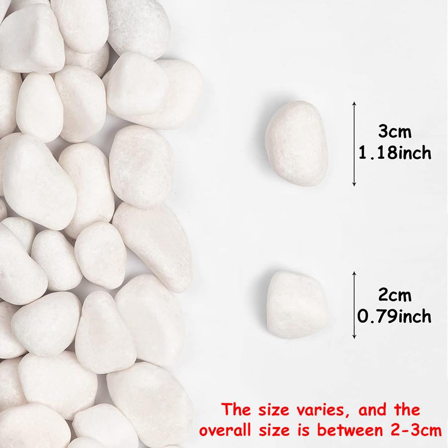 200/400g White High Polished N - Fish Aquarium Home review and price