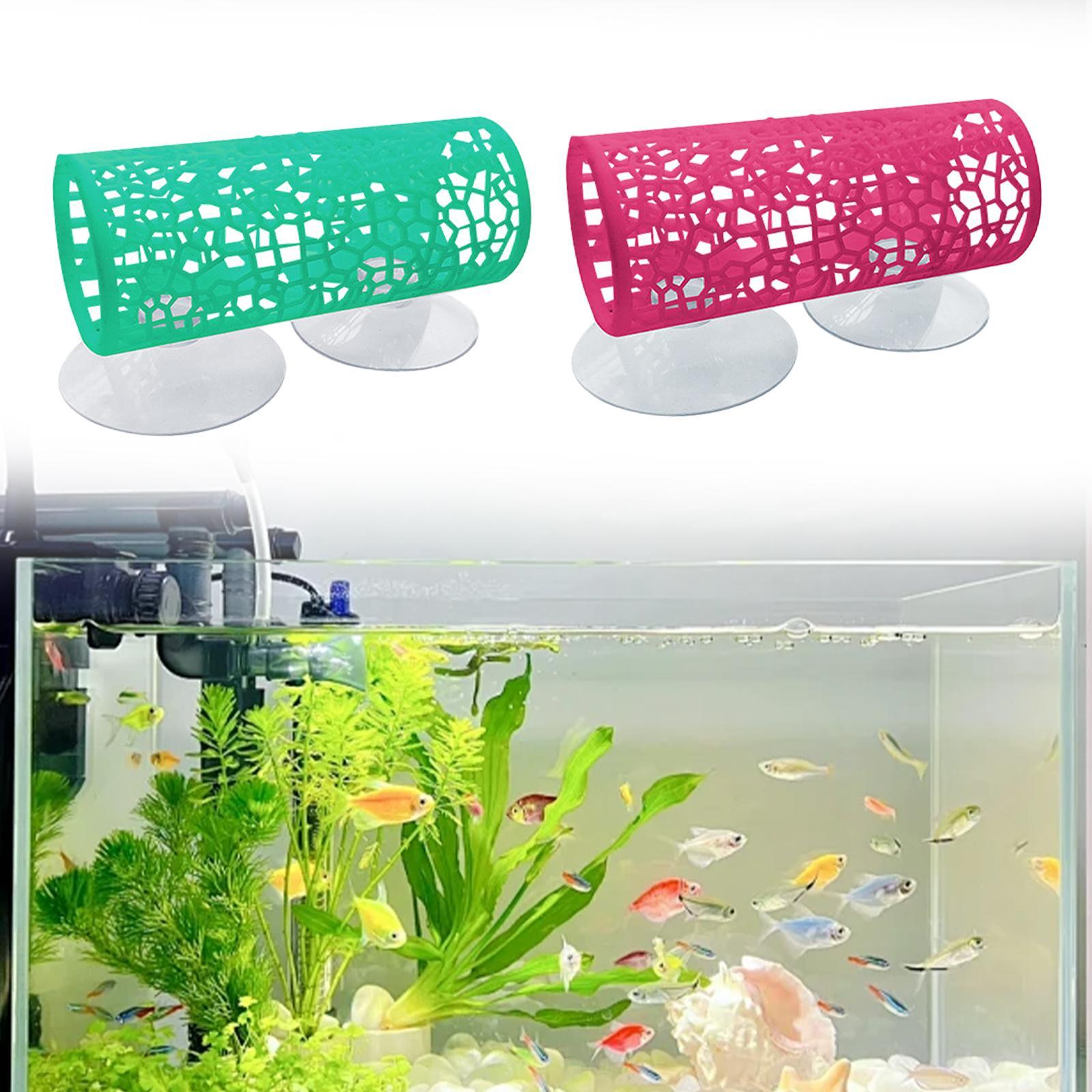 Betta -Tunnel -hiding Place, B - Aquarium Fisch review and price