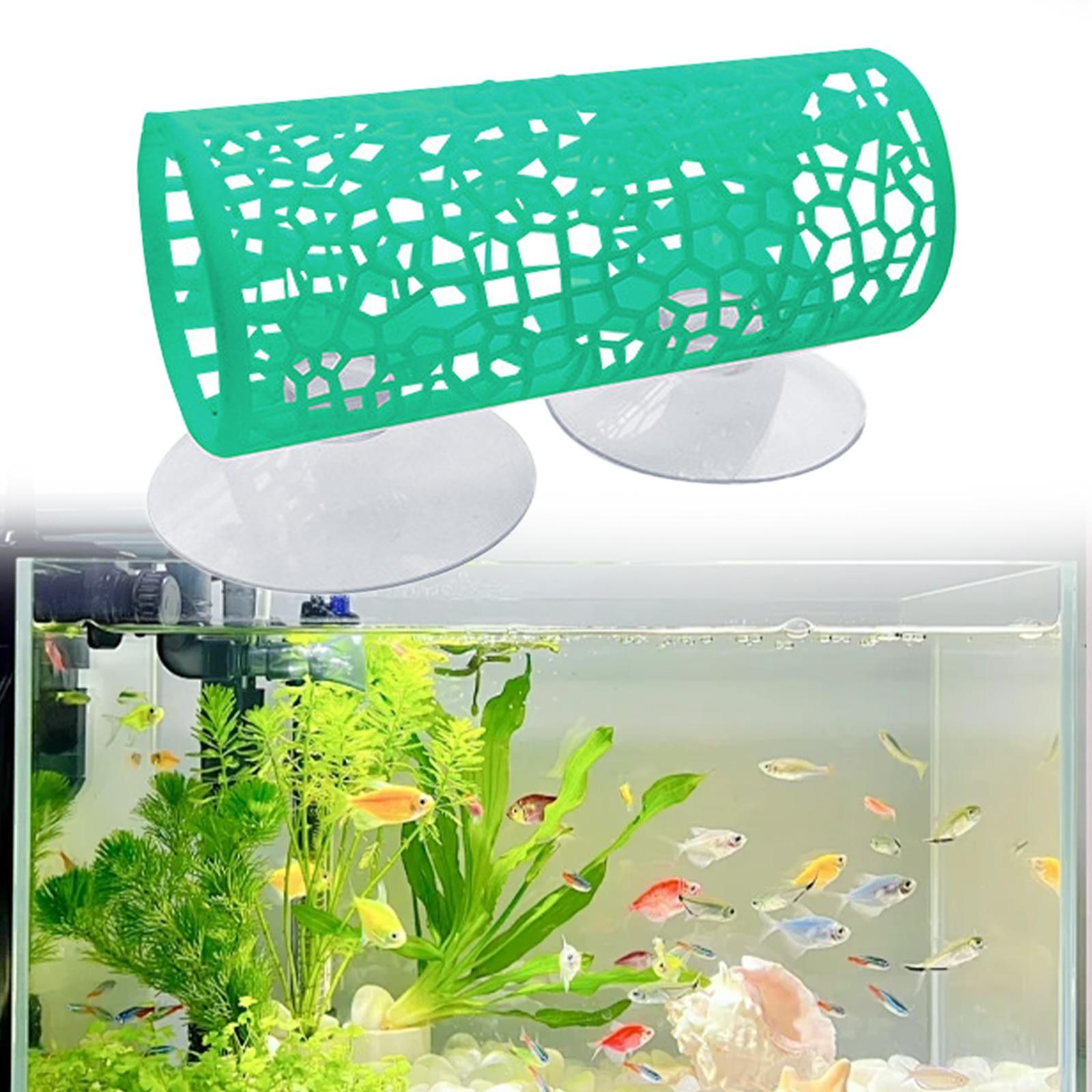 Betta -Tunnel -hiding Place, B - Aquarium Fisch review and price