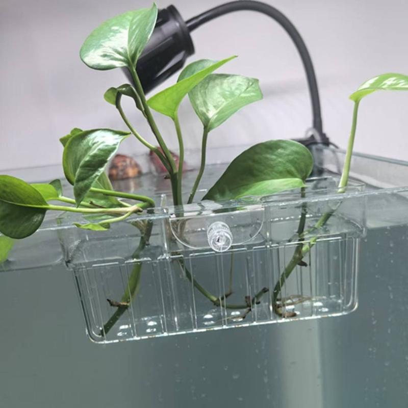 Hydroponic Plant Basket Food G - Fish Aquarium Home review and price