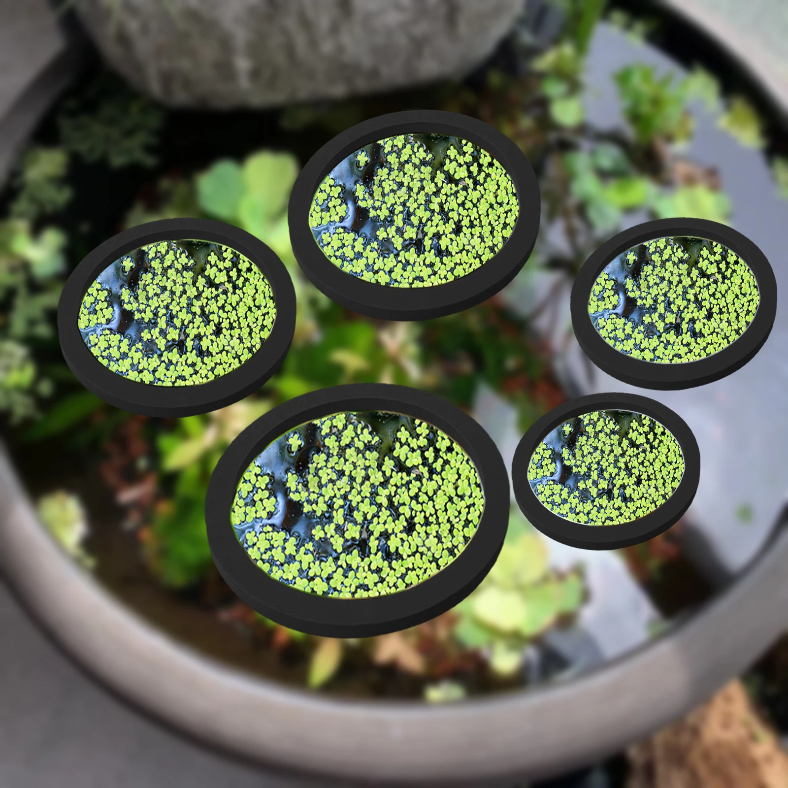 5Pcs EVA Fish Feeding Ring Aqu - Fish Aquarium Home review and price