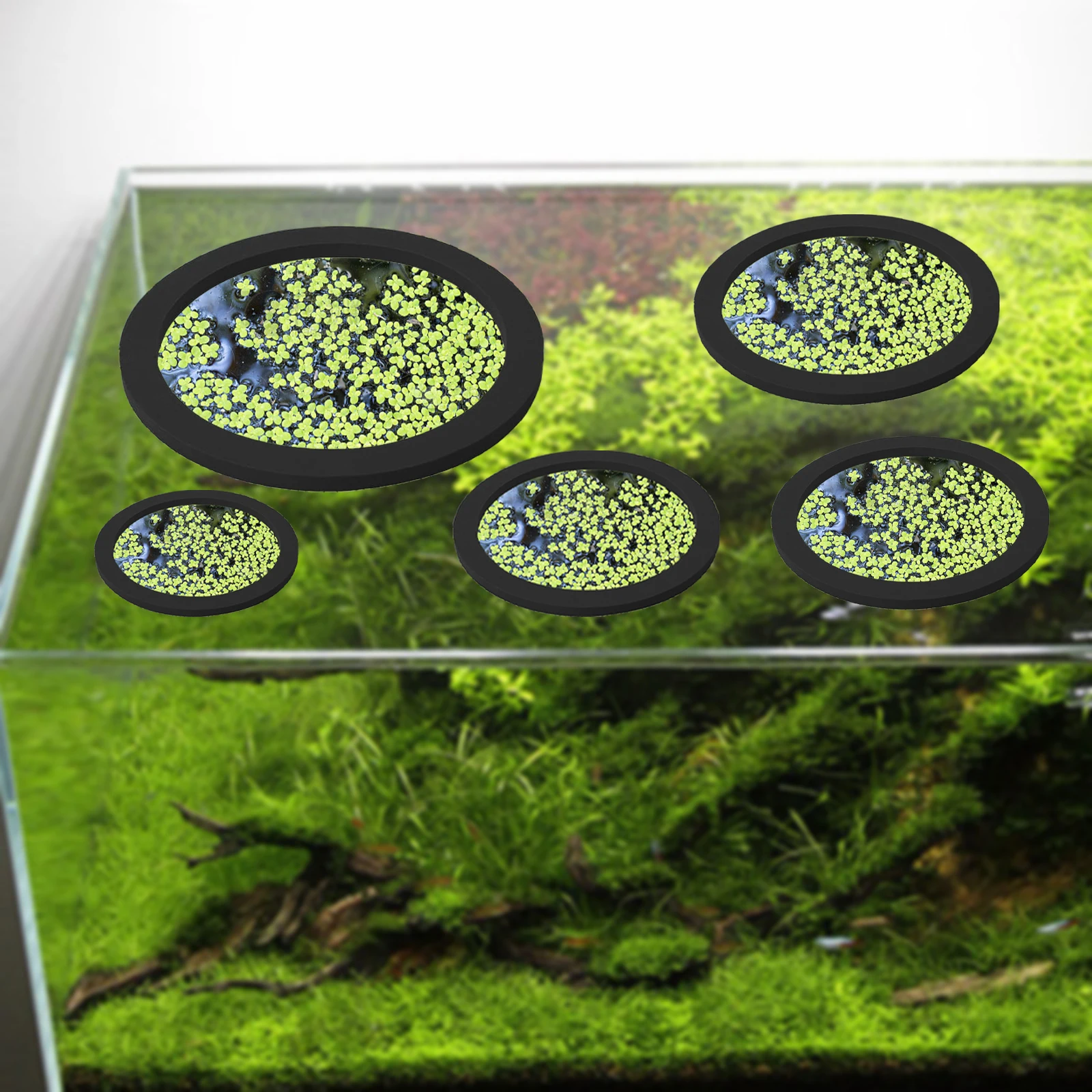 5Pcs EVA Fish Feeding Ring Aqu - Fish Aquarium Home review and price