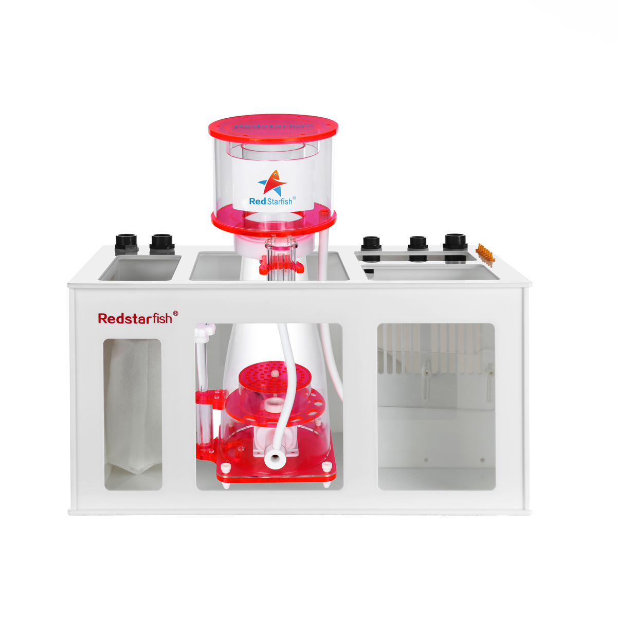 HOTRed Starfish OEM LOGO Saltw - Aquarium Fish Logo review and price