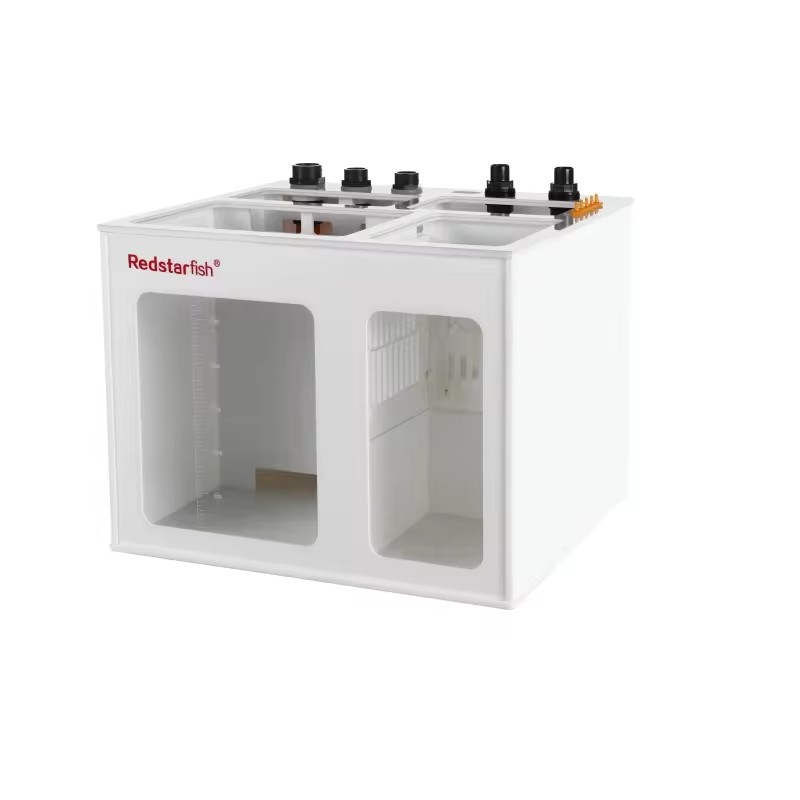 HOTRed Starfish OEM LOGO Saltw - Aquarium Fish Logo review and price