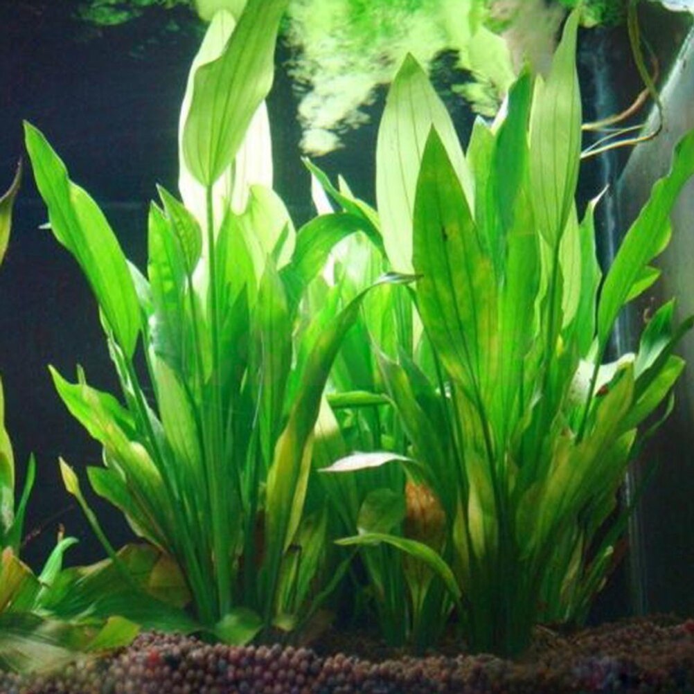 15cm Artificial Aquarium Decor - Aquarium Fish Artificial review and price